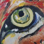 Wild Spirit close-up 1